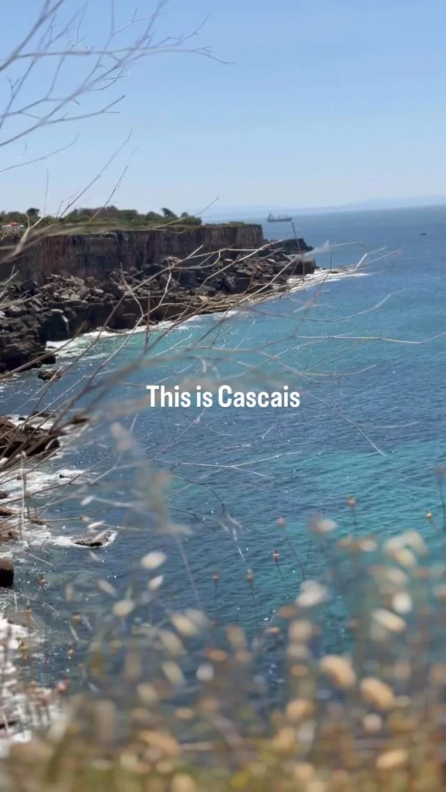 Instagram post from livinglocalcascais. This post is in position 11.