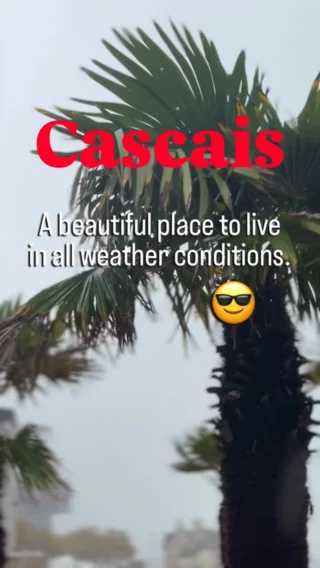 Instagram post from livinglocalcascais. This post is in position 2.